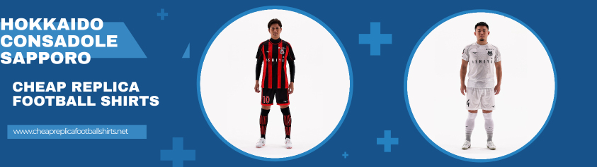 replica Hokkaido Consadole Sapporo shirt 2023-2024